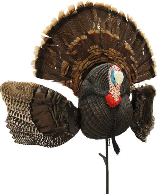 Mojo Scoot N Shoot Max Turkey Decoy