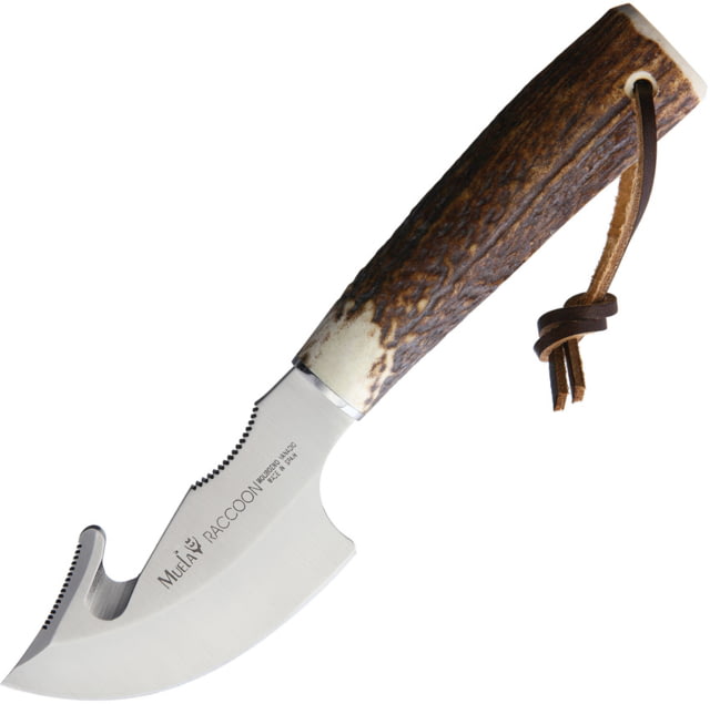 Muela Raccoon 8A Fixed Blade Knife 3" satin finish 1.4116 stainless guthook blade Stag bone handle - Muela