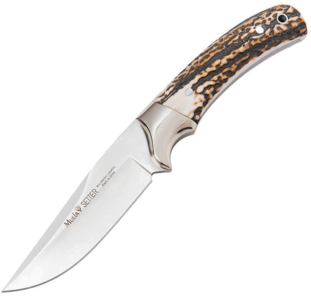 Muela Setter-11A Fixed Blade Stag MU043 - Muela