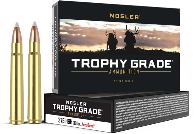 ler Trophy Grade .375 H&H Magnum 300 Grain AccuBond Brass Cased Centerfire Rifle 20 Rounds Ammo