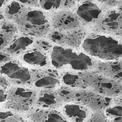 Pall Nylaflo Membrane Disc Filters Pall Life Sciences