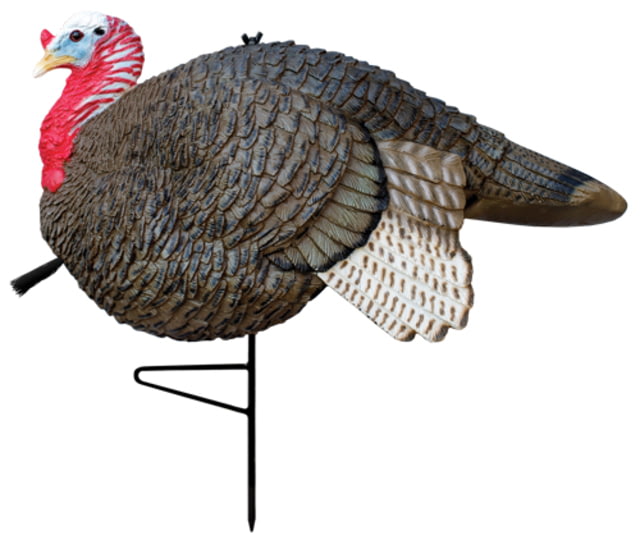 Primos Hunting Turkey Decoy Lil Gobbstopper Jake Molded Rubber