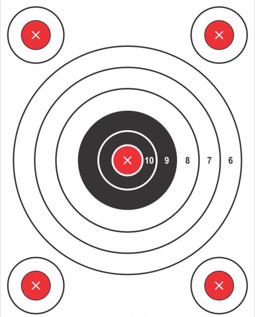 Pro-Shot 9in x 13in 5 Bullseye Target w/ Adhesive Backing Pack of 6
