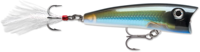 Rapala X-Rap Pop Topwater Lure Floating Moss Back Shiner 2 3/4in 3/8oz