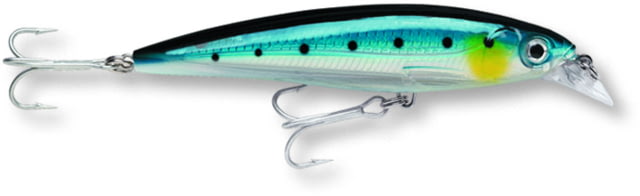 Rapala X-Rap Saltwater 12 Slashbait 4 3/4" 3/4 oz Blue Sardine Suspending