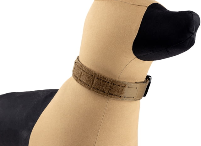 Raptor Tactical K9 Odin Collar Coyote Brown - Raptor Tactical