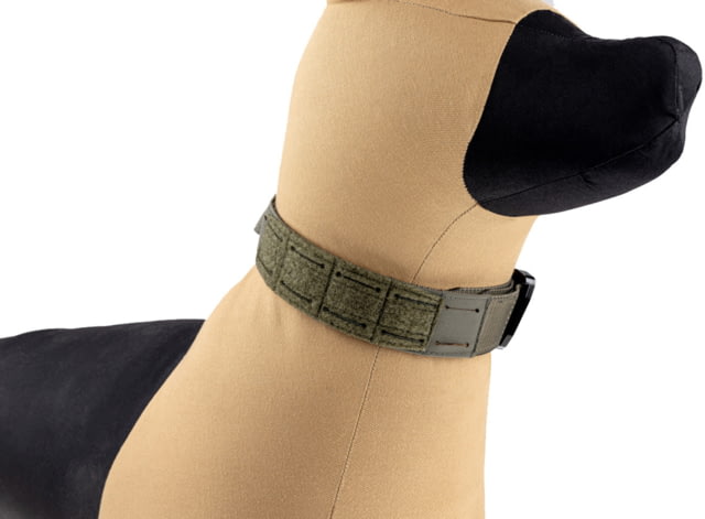 Raptor Tactical K9 Odin Collar Ranger Green - Raptor Tactical