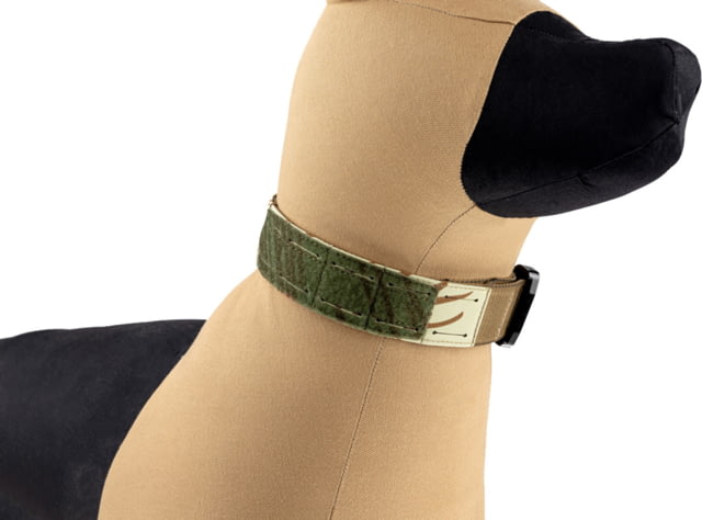 Raptor Tactical K9 Odin Collar Rhodesian - Raptor Tactical