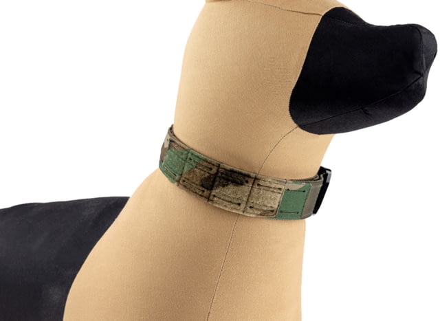Raptor Tactical K9 ODIN Collar Woodland One Size - Raptor Tactical