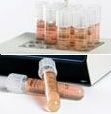 Richard-Allan Vial Histogel 10ML CS12