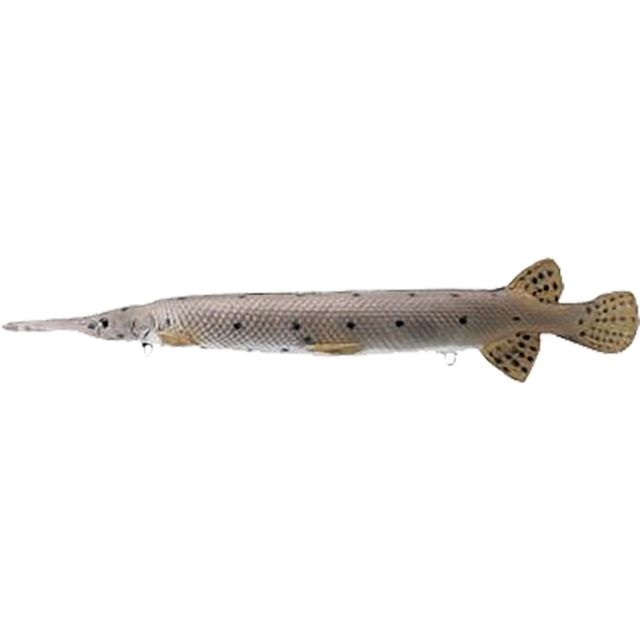 Rinehart Yellow Fin Gar Target Brown - Rinehart