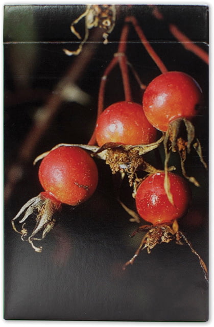 Speedhook Edible & Poisonous Plants of The Western US ID Cards 3.1oz - Speedhook