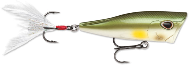 Storm Arashi Cover Pop 8 3.12in 1/2oz Pearl Ayu