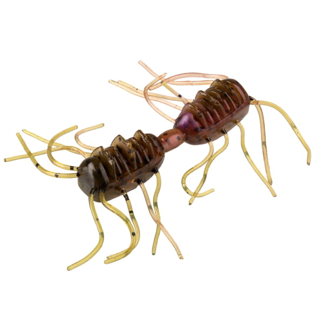 Strike King Sexy Bug Softbait 6 pack 3in Grape Whiskey