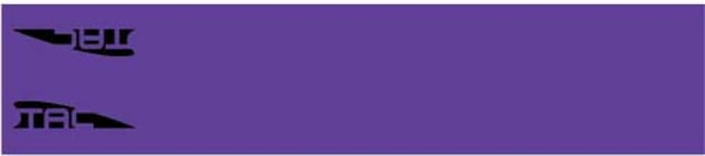 TAC Vanes 4.675in Standard Arrow Wrap 13 Pack Purple - Tac Vanes