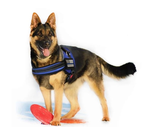 Thin Blue Line Harness With Patch Thin Blue Line - Thin Blue Line