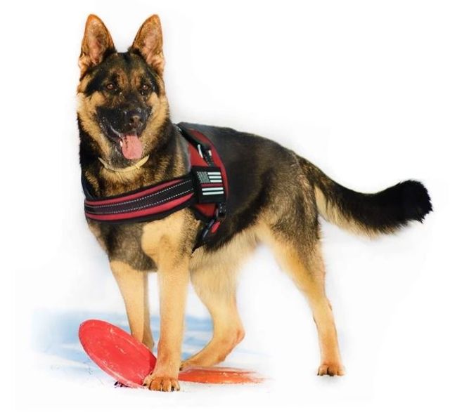 Thin Blue Line Dog Harness Thin Red Line - Thin Blue Line