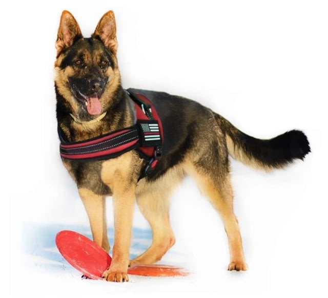 Thin Blue Line Dog Harness Thin Red Line - Thin Blue Line
