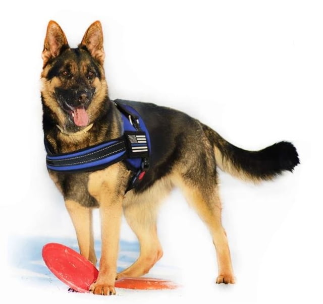 Thin Blue Line Harness With Patch Thin Blue Line - Thin Blue Line