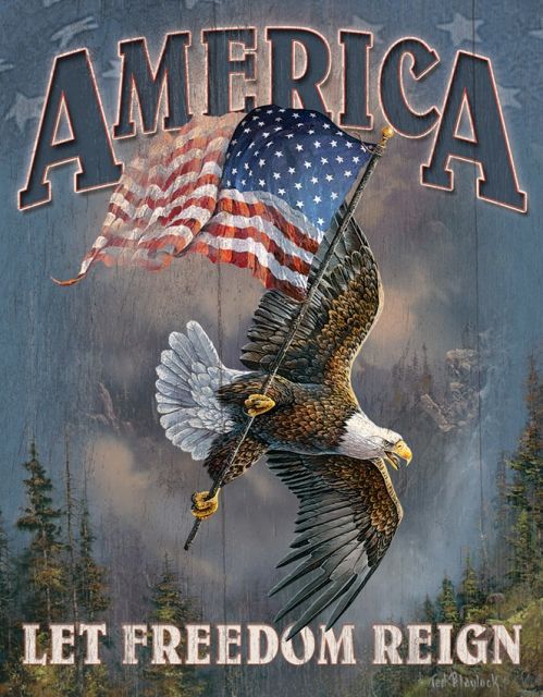 Tin Signs Let Freedom Reign Tin Sign TSN