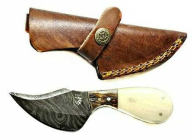 Titan Damascus Skinning knife Camel Bone Stag Handle 6in TD-043 - Titan International Knives