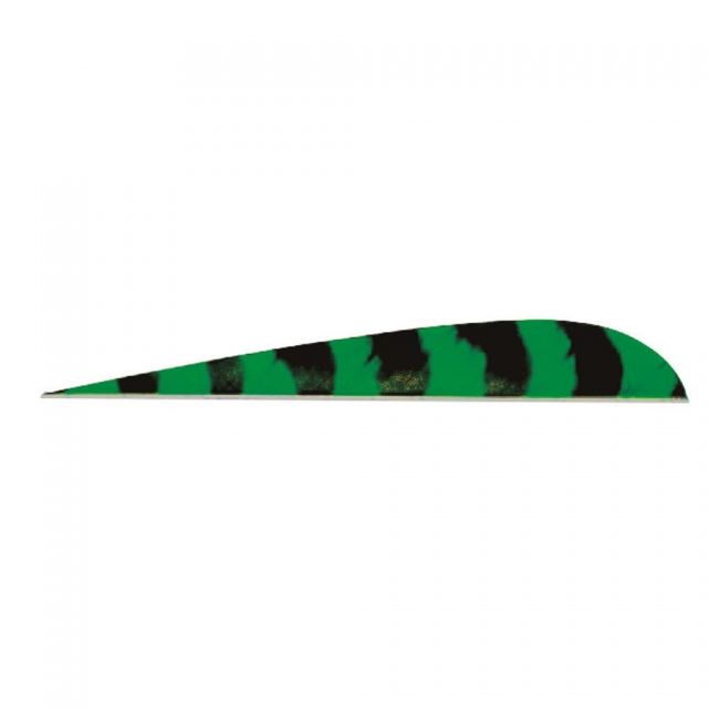 Trueflight Parabolic Feathers Barred Green 4 in. LW 100 pk.