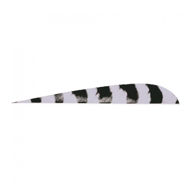 Trueflight Parabolic Feathers Barred Grey 5 in. RW 100 pk. - Trueflight