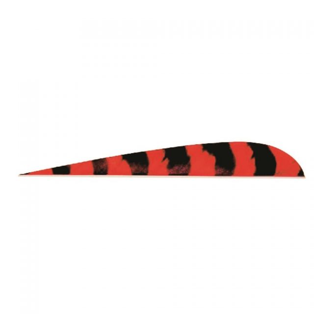 Trueflight Parabolic Feathers Barred Red 5 in. LW 100 pk. - Trueflight