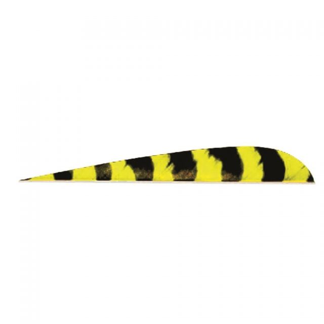 Trueflight Parabolic Feathers Barred Yellow 5 in. RW 100 pk.