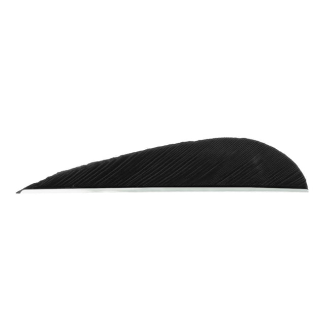 Trueflight Parabolic Feathers Black 3 in. RW 100 pk. - Trueflight