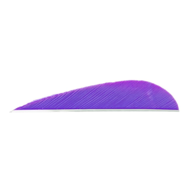Trueflight Parabolic Feathers Purple 3 in. RW 100 pk.