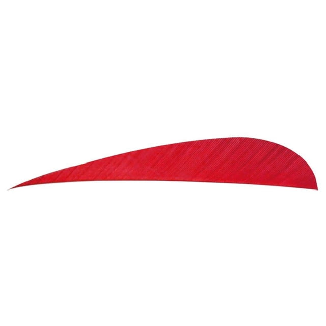 Trueflight Parabolic Feathers Red 4 in. LW 100 pk. - Trueflight