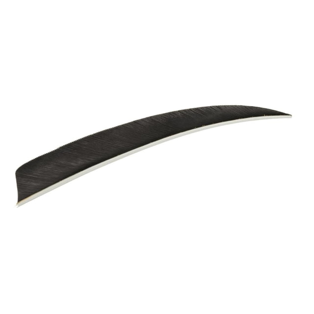 Trueflight Shield Cut Feathers Black 5 in. LW 100 pk. - Trueflight