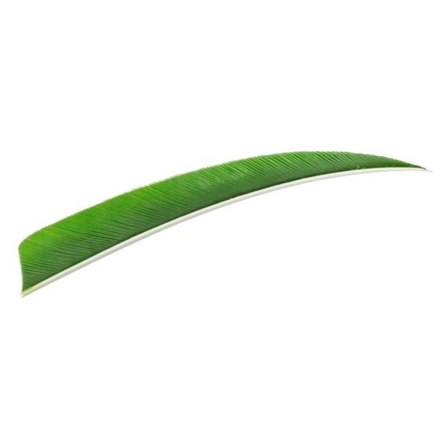 Trueflight Shield Cut Feathers Green 5 in. LW 100 pk.