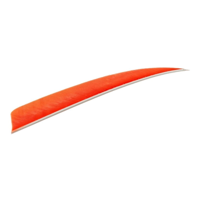 Trueflight Shield Cut Feathers Orange 5 in. LW 100 pk. - Trueflight