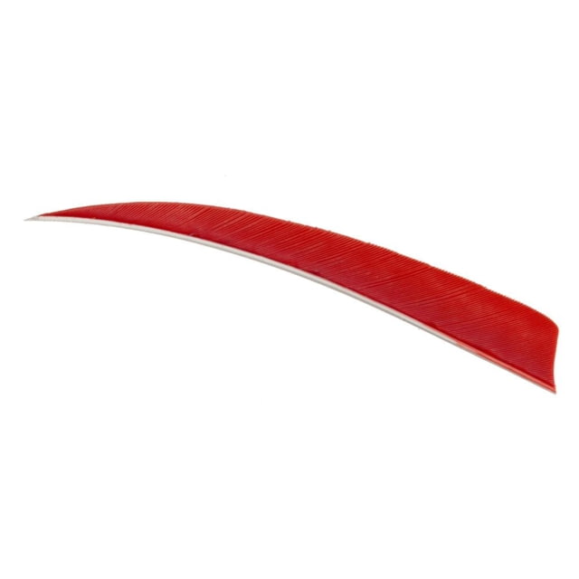 Trueflight Shield Cut Feathers Red 4 in. RW 100 pk. - Trueflight