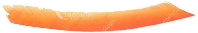Trueflight Trueflight Spiral Wrap Flu-Flu Feathers Orange Rw 100 Pack