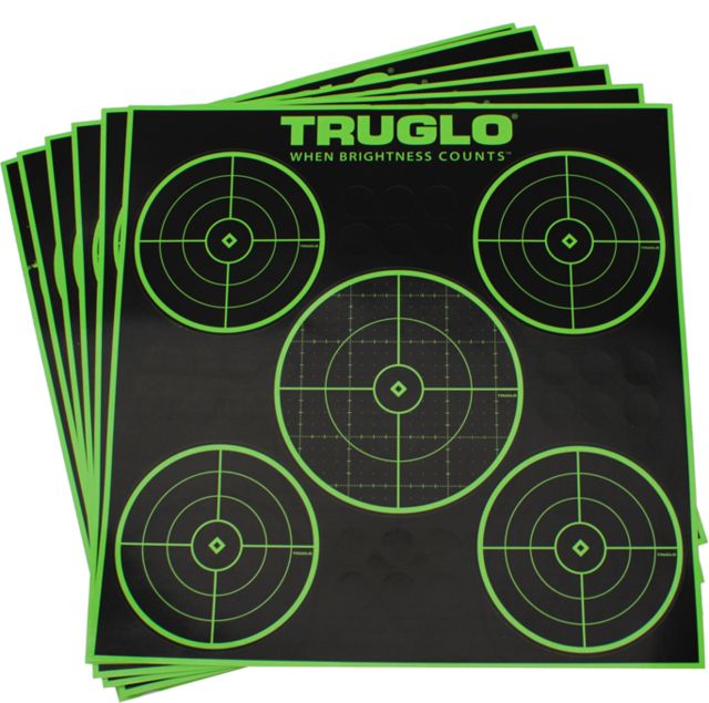 TruGlo Target 5-Bull 12X12 6 Pack TG