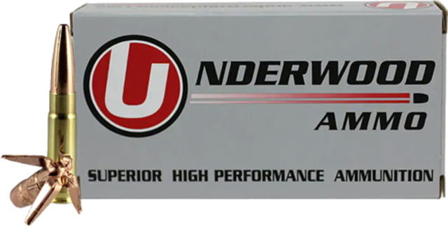 erwood .300 AAC Blackout 194 Grain Solid Monolithic Hollow Point Nickel Plated Brass Cased Rifle 20 Rounds Ammo