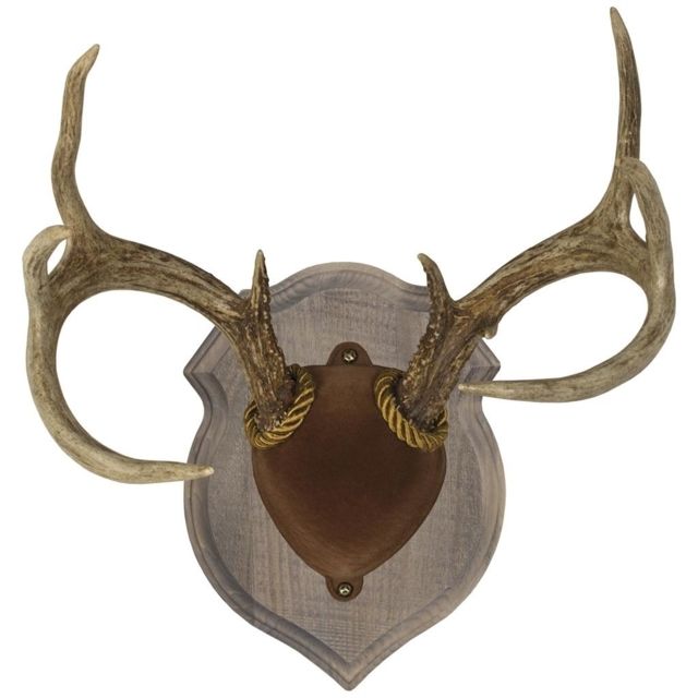 Walnut Hollow Delux Antler Display Kit Brown - Walnut Hollow