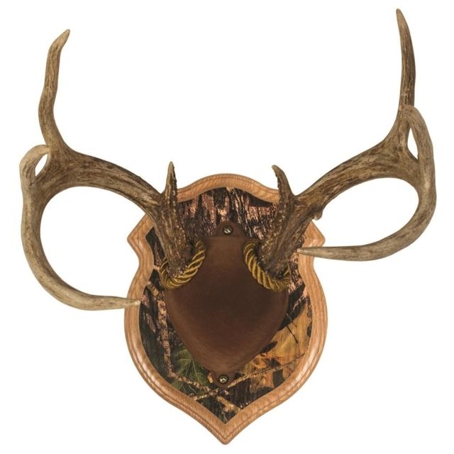Walnut Hollow Deluxe Antler Display Kit Camo - Walnut Hollow