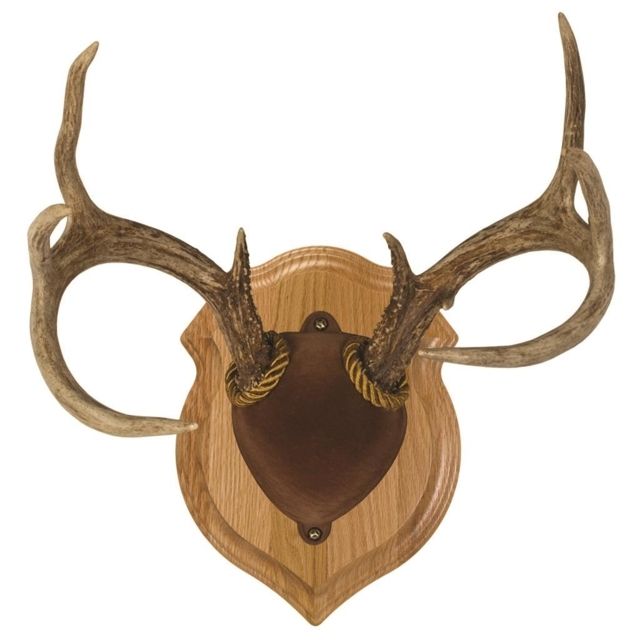 Walnut Hollow Deluxe Antler Display Kit Oak - Walnut Hollow