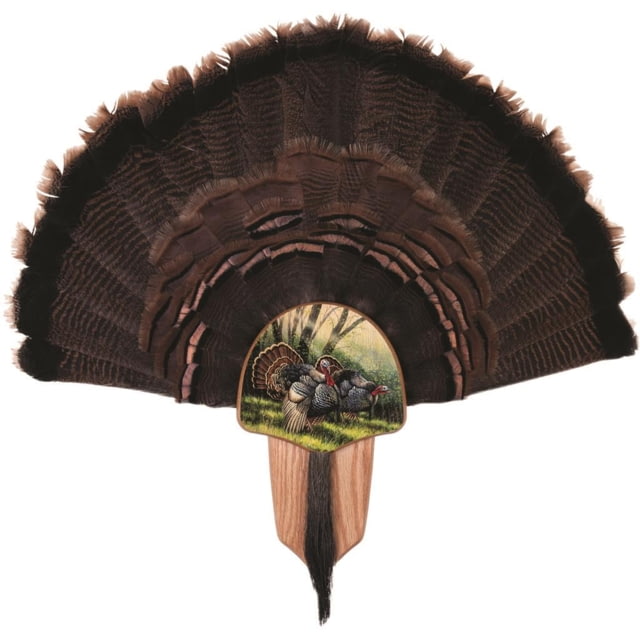 Walnut Hollow Turkey Display Kit Spring Strut Black - Walnut Hollow