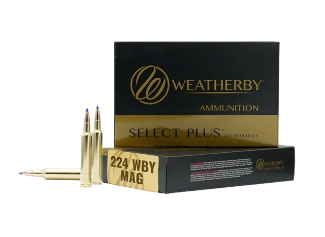Weatherby 224Wthby Mag 37gr Hammer Custom 20 Per Box/10 Case