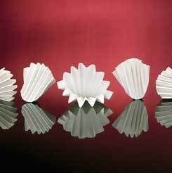 Whatman Grade No. 113V Folded Filter Paper Whatman