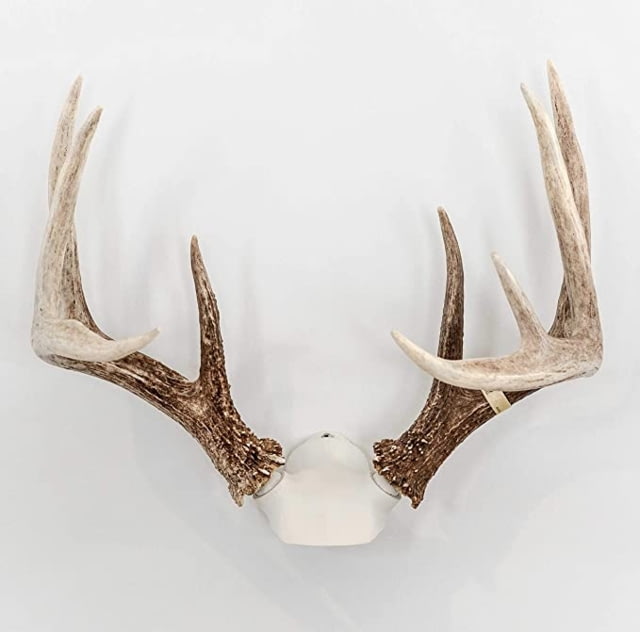 Wicked North Gear The Change Up Antler Display Kit White - Wicked North Gear