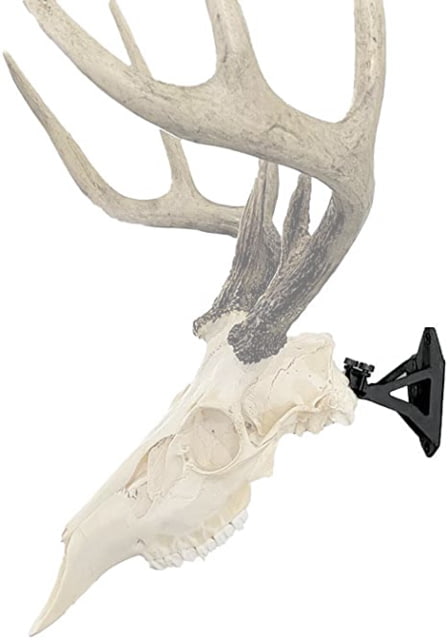 Wicked North Gear The Hang Up European Mounting Bracket Black - Wicked North Gear