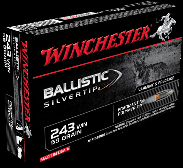 Winchester Ballistic Silvertip .243 Ammo - 20 Rounds