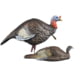 Higdon Outdoors 1/4 Strutt & Laydown Hen Jake & Jill