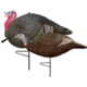 Primos Hunting Turkey Decoy Lil Gobbstopper Jake/Hen Combo Molded Rubber